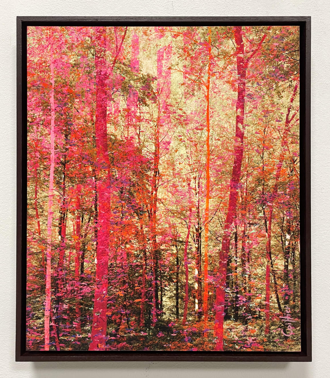 Martin Coiffier, Dreams