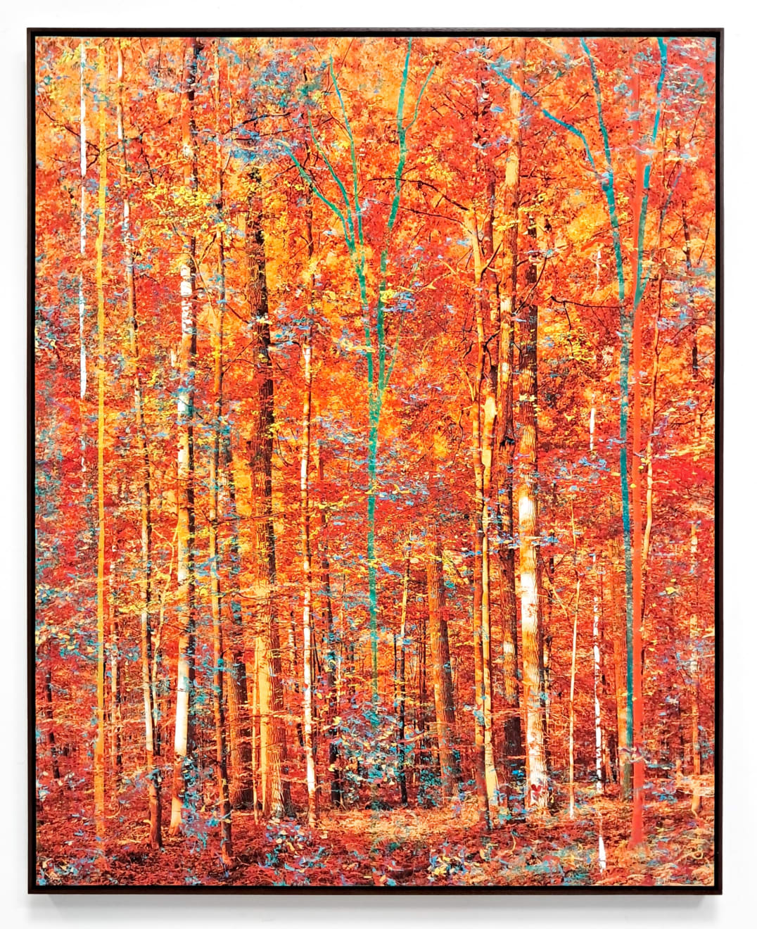 Martin Coiffier, Strange Dream