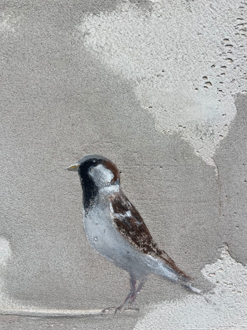 Jan Grotenbreg - Musje