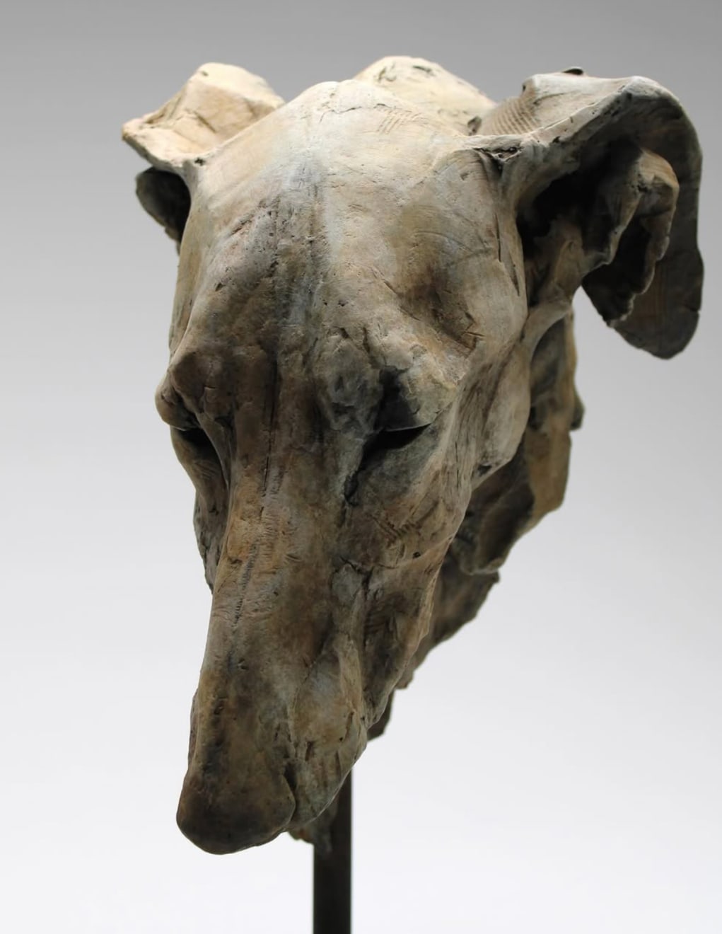 Nichola Theakston, Erudite Hound