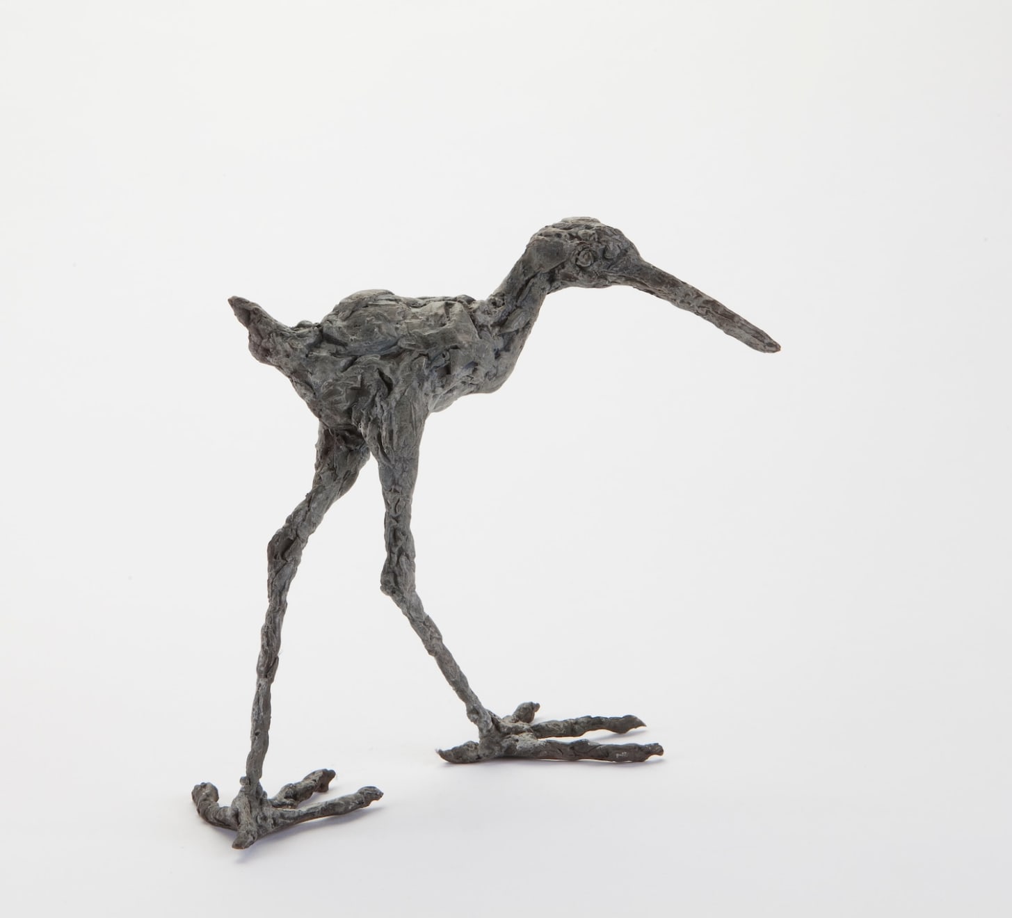 Ans Zondag - Waadvogel