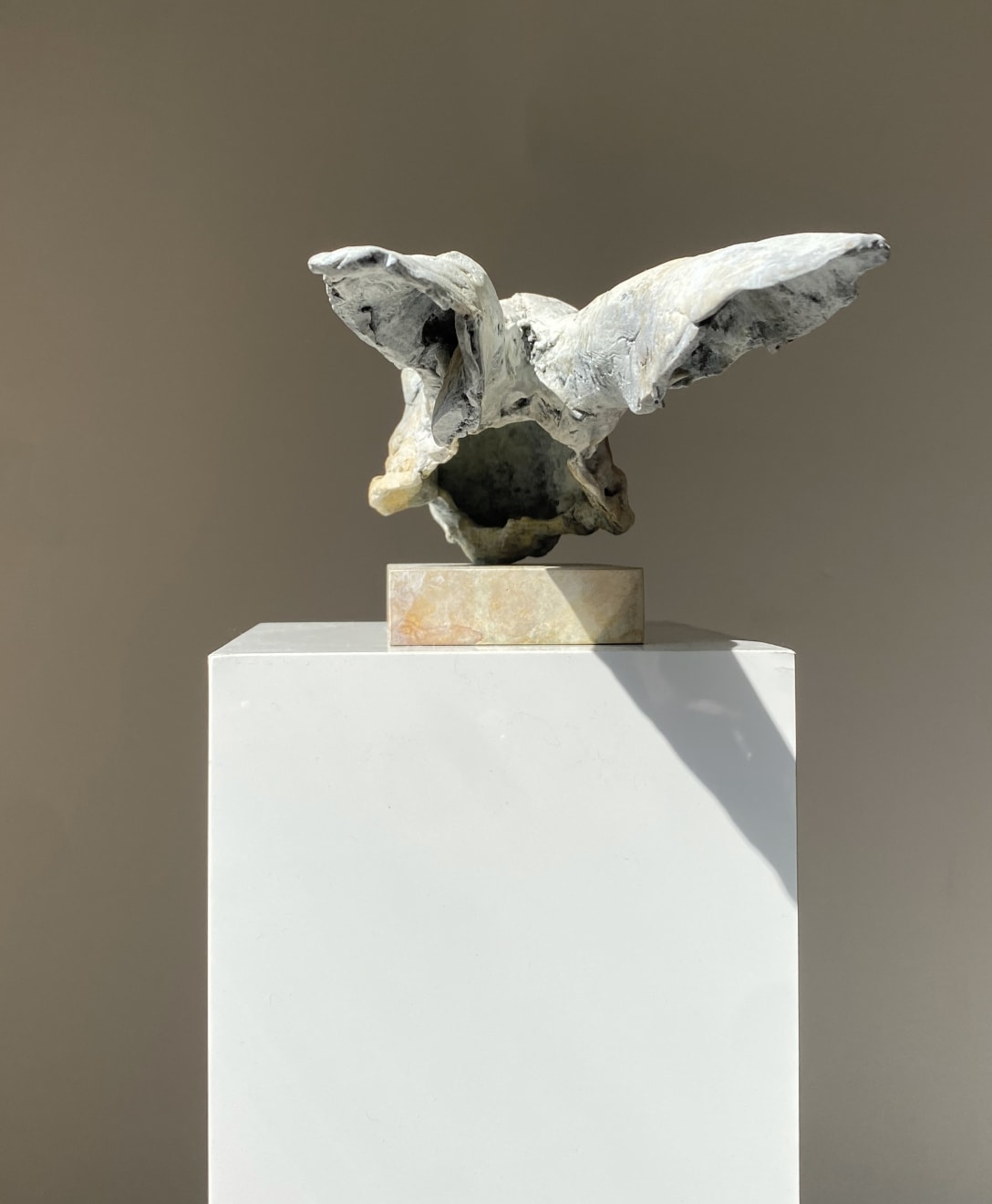 Nichola Theakston
