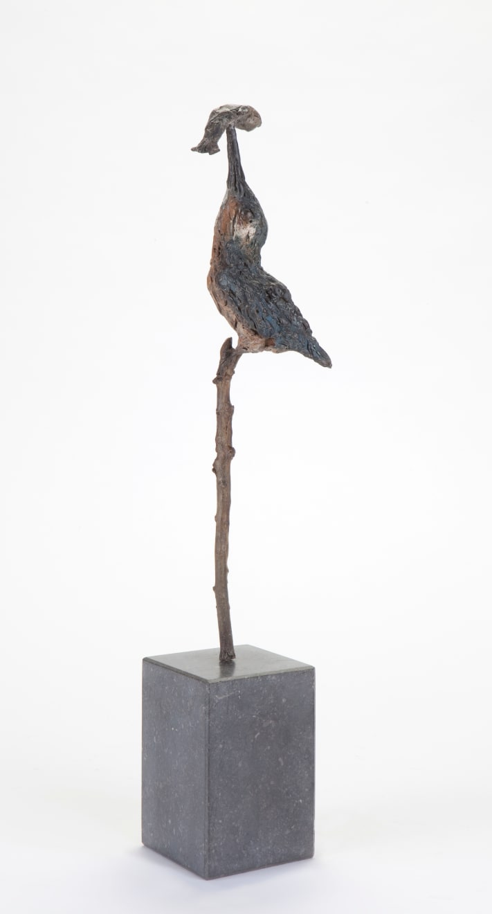 Ans Zondag - Ijsvogel Up