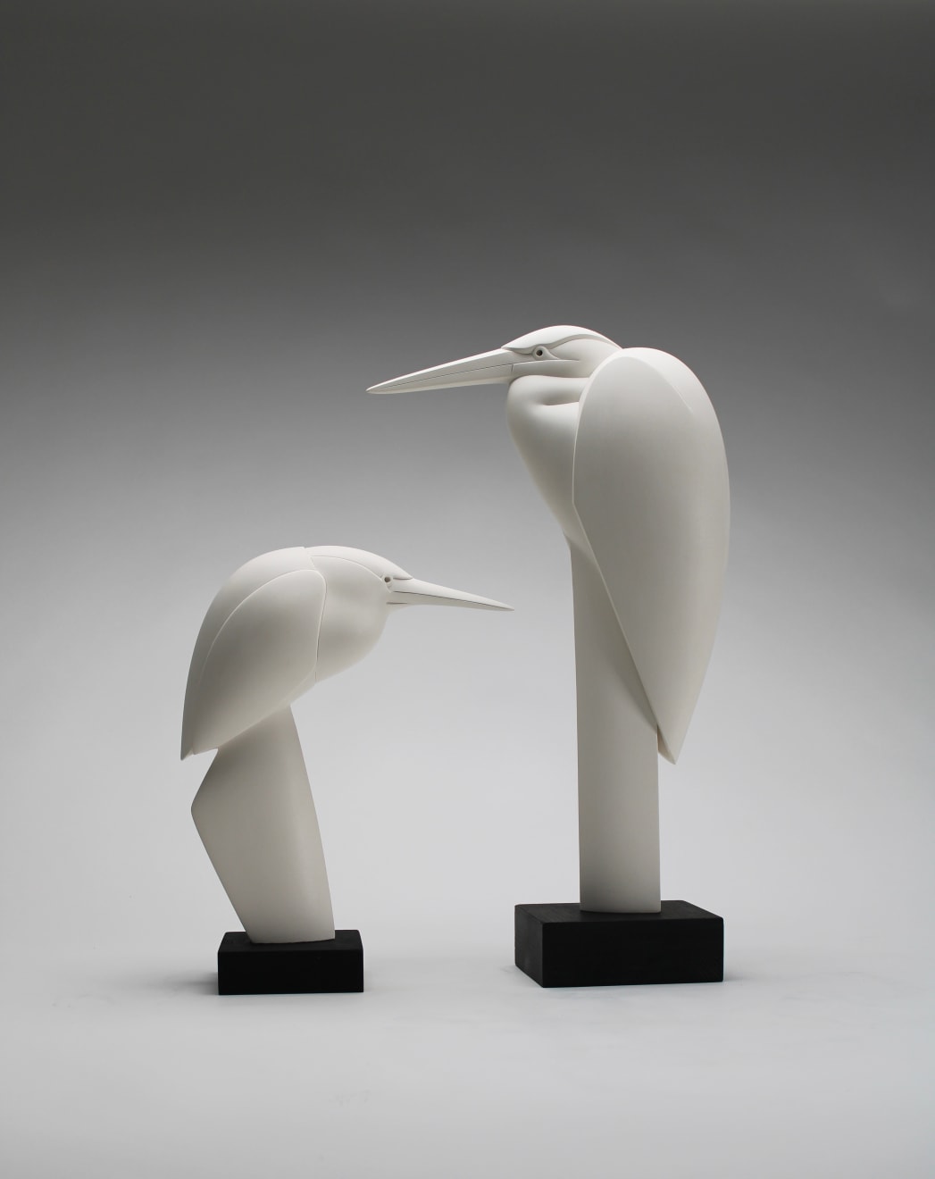 Anthony Theakston, Small Bittern