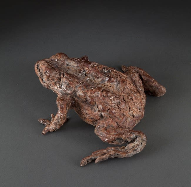 Ans Zondag - Mr. Toad