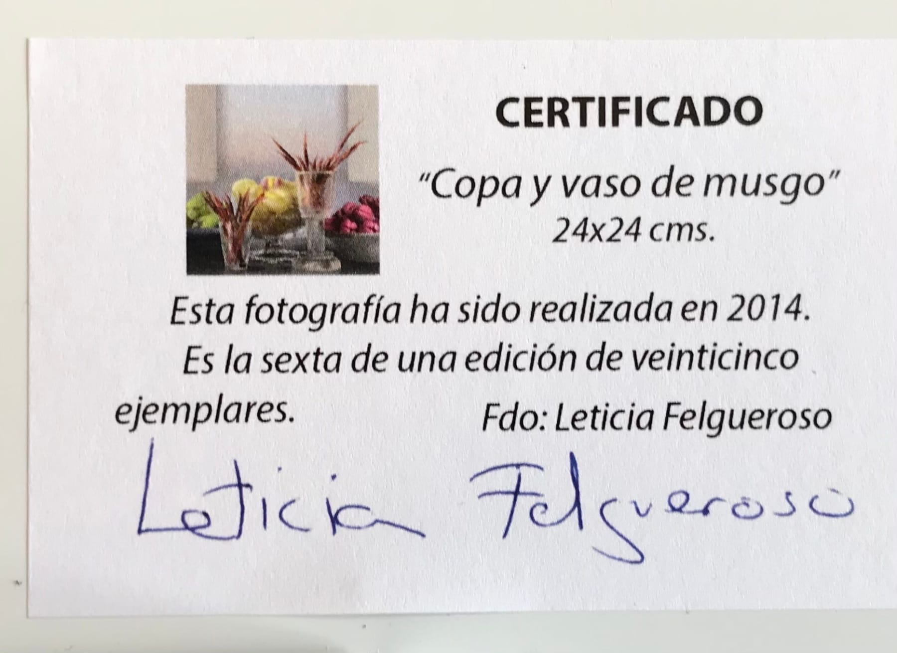 Leticia Felgueroso - Copa y Vaso de Musgo