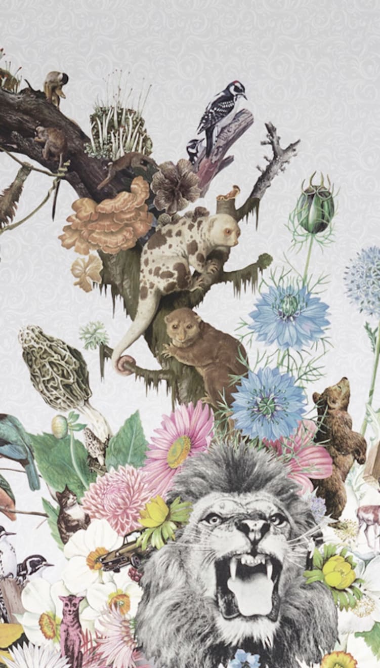 Maria Rivans - Eliza