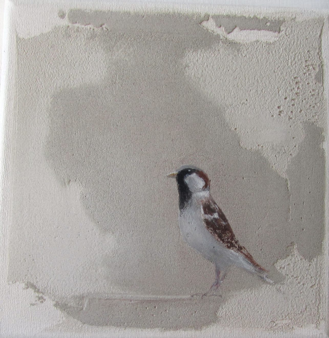 Jan Grotenbreg - Musje