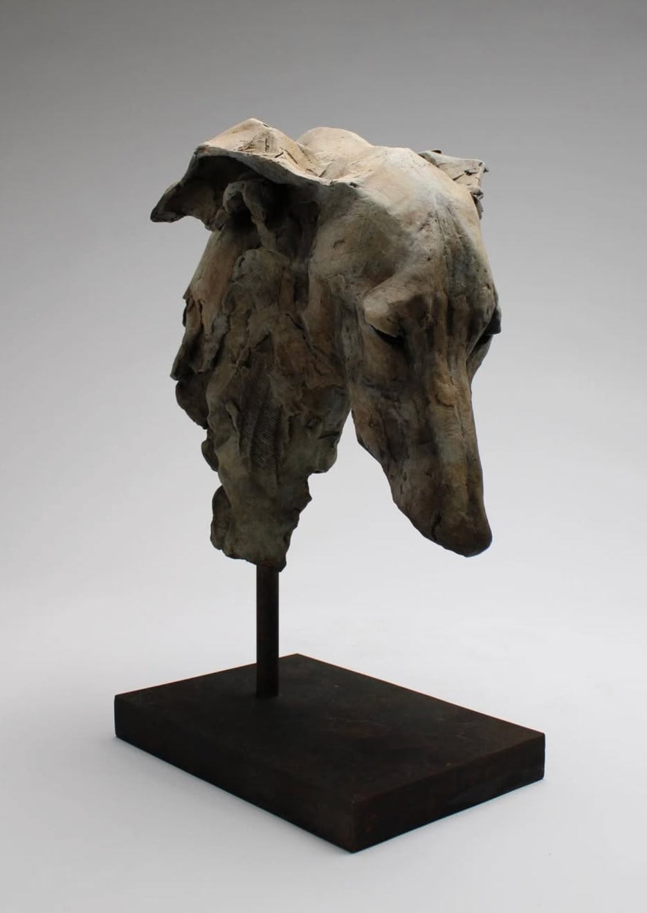 Nichola Theakston, Erudite Hound