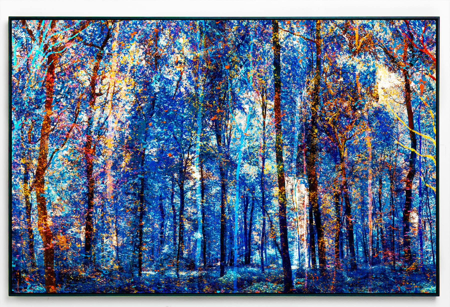 Martin Coiffier, Eden Devil's Garden