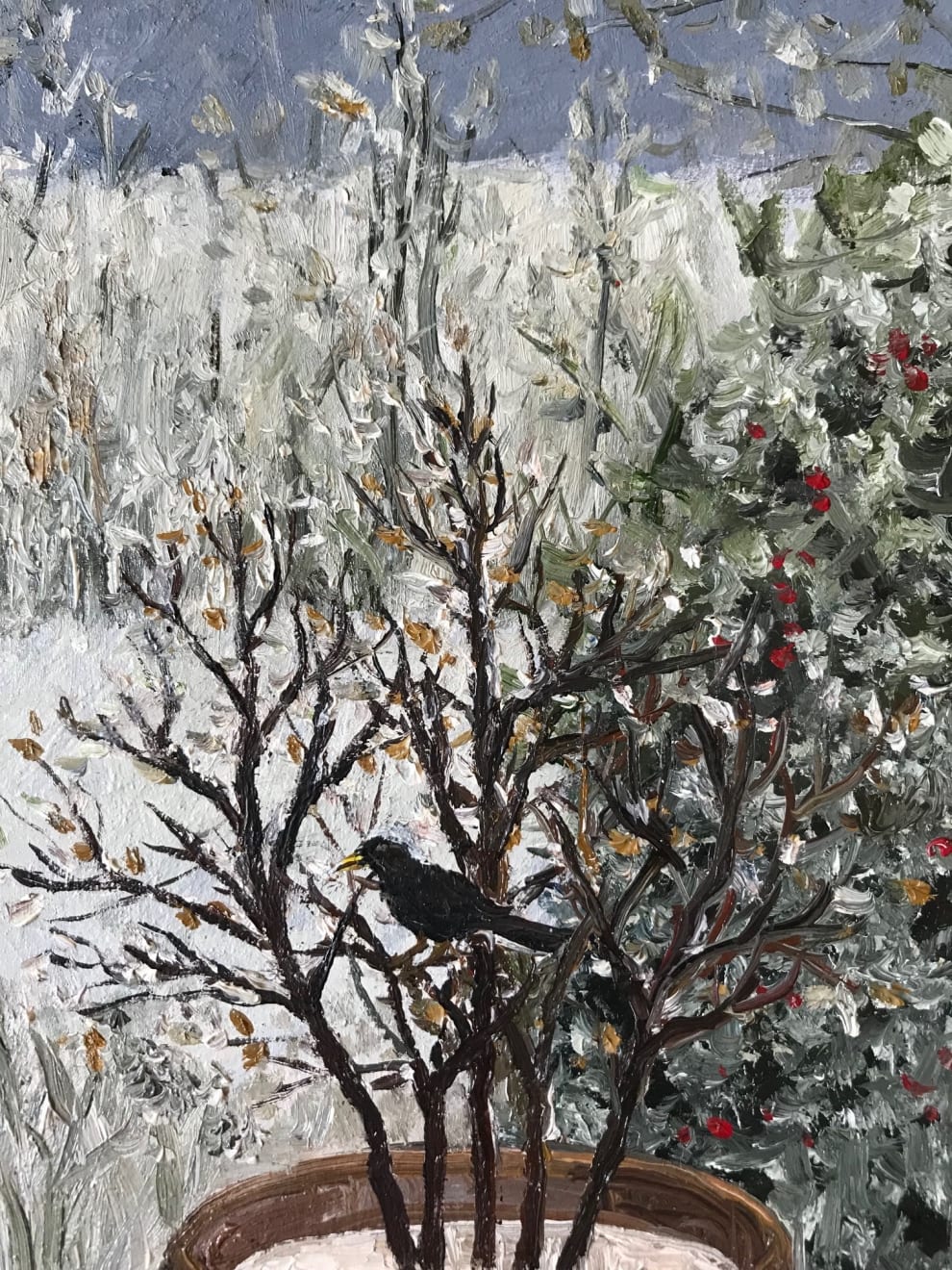 Laetitia de Haas - Vogels in Wintertuin