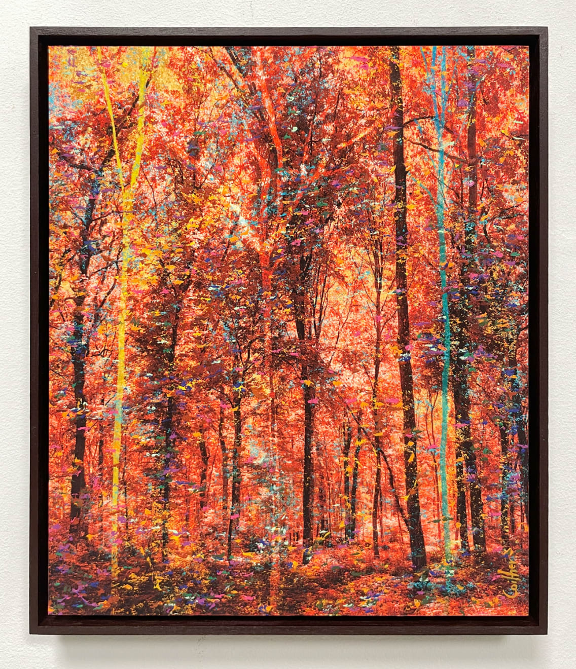 Martin Coiffier, Dreams