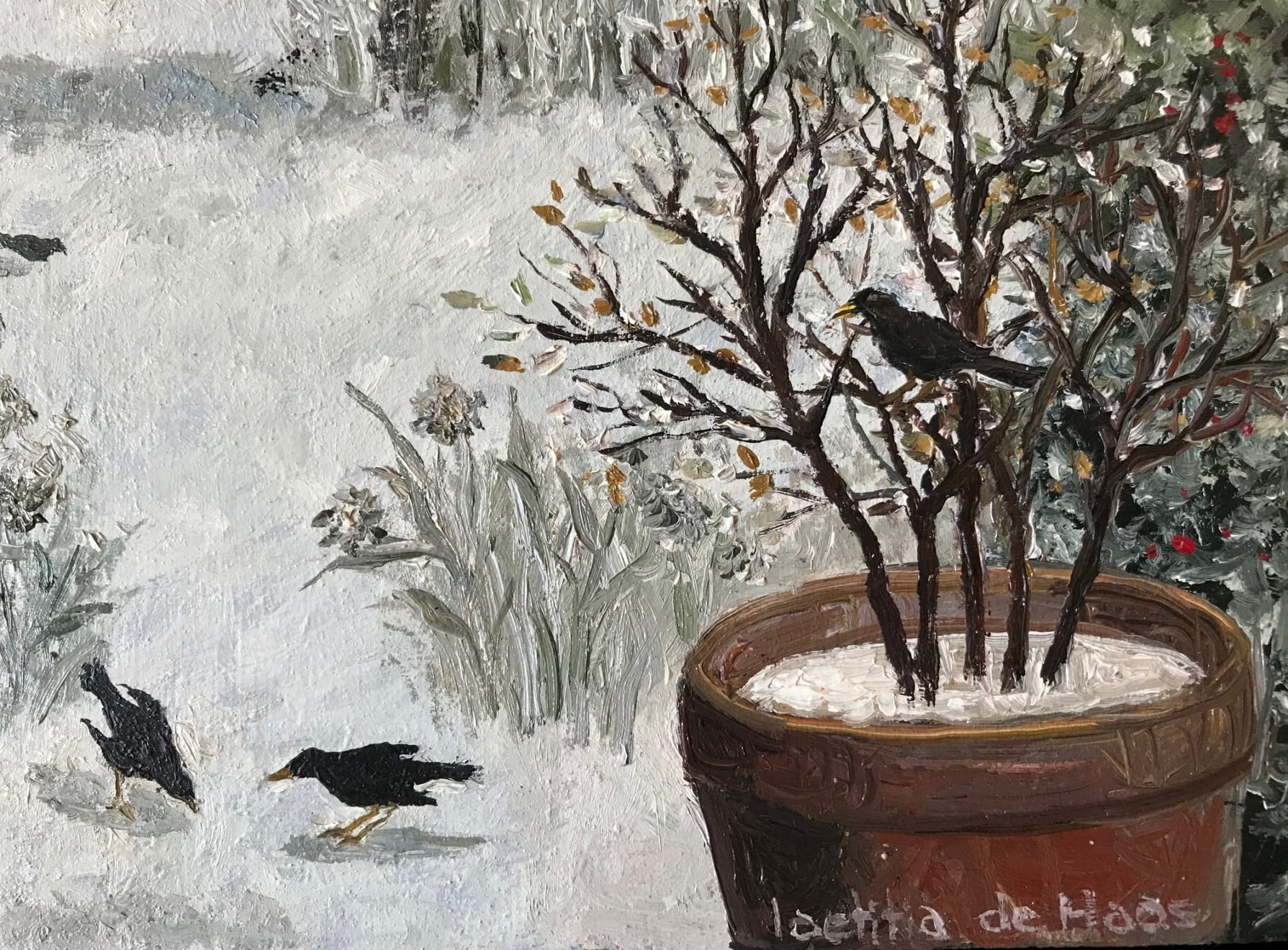 Laetitia de Haas - Vogels in Wintertuin