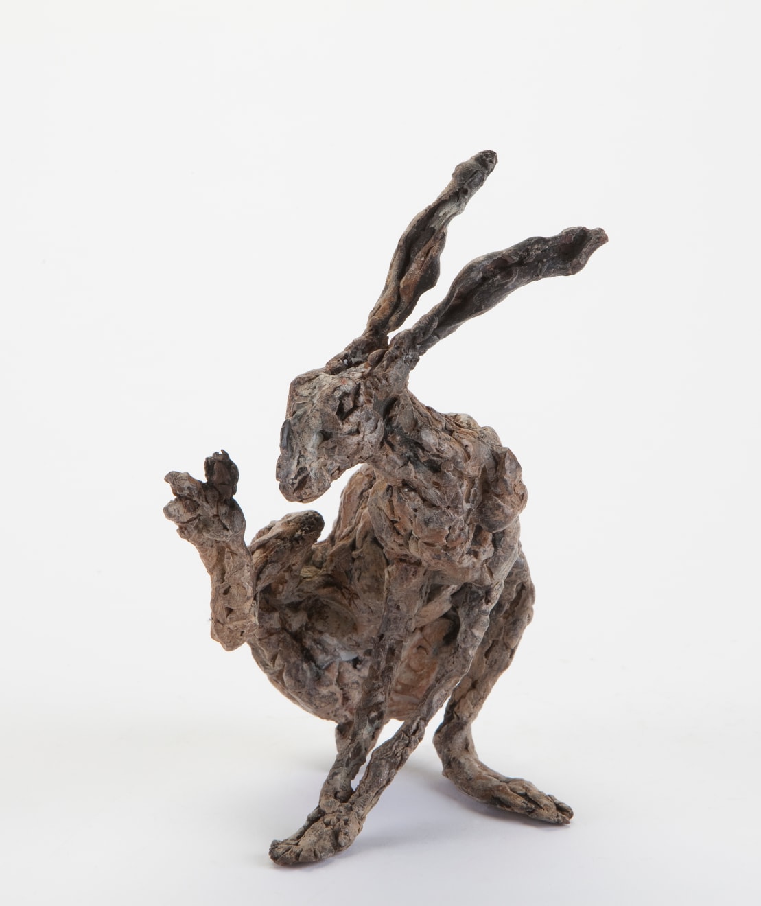 Ans Zondag - Grooming Hare