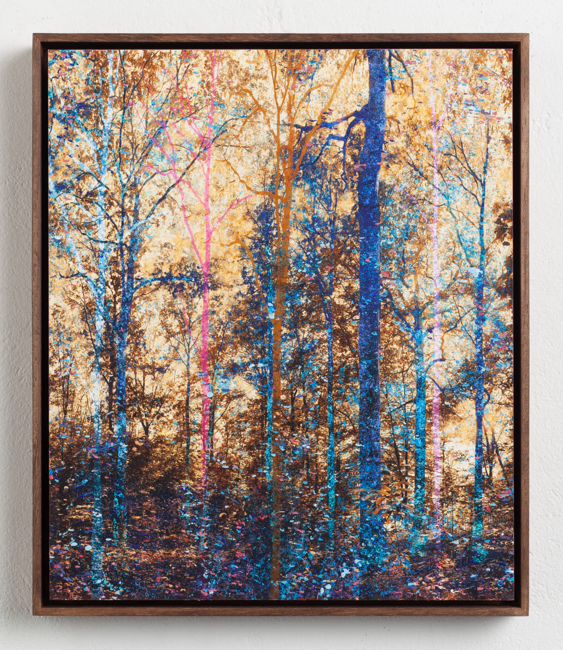 Martin Coiffier, Dreams