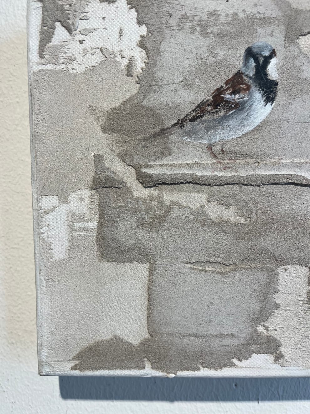 Jan Grotenbreg - Musje