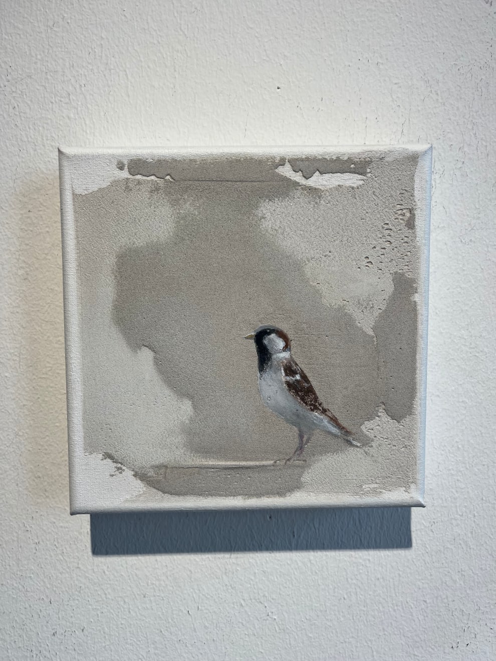 Jan Grotenbreg - Musje