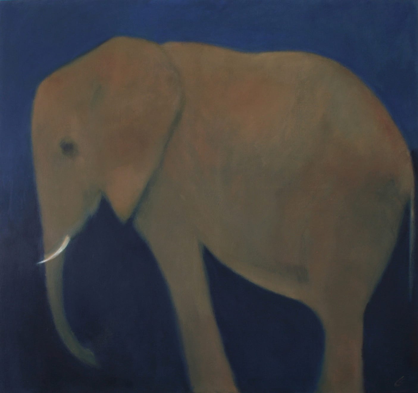 Christine van der Cingel