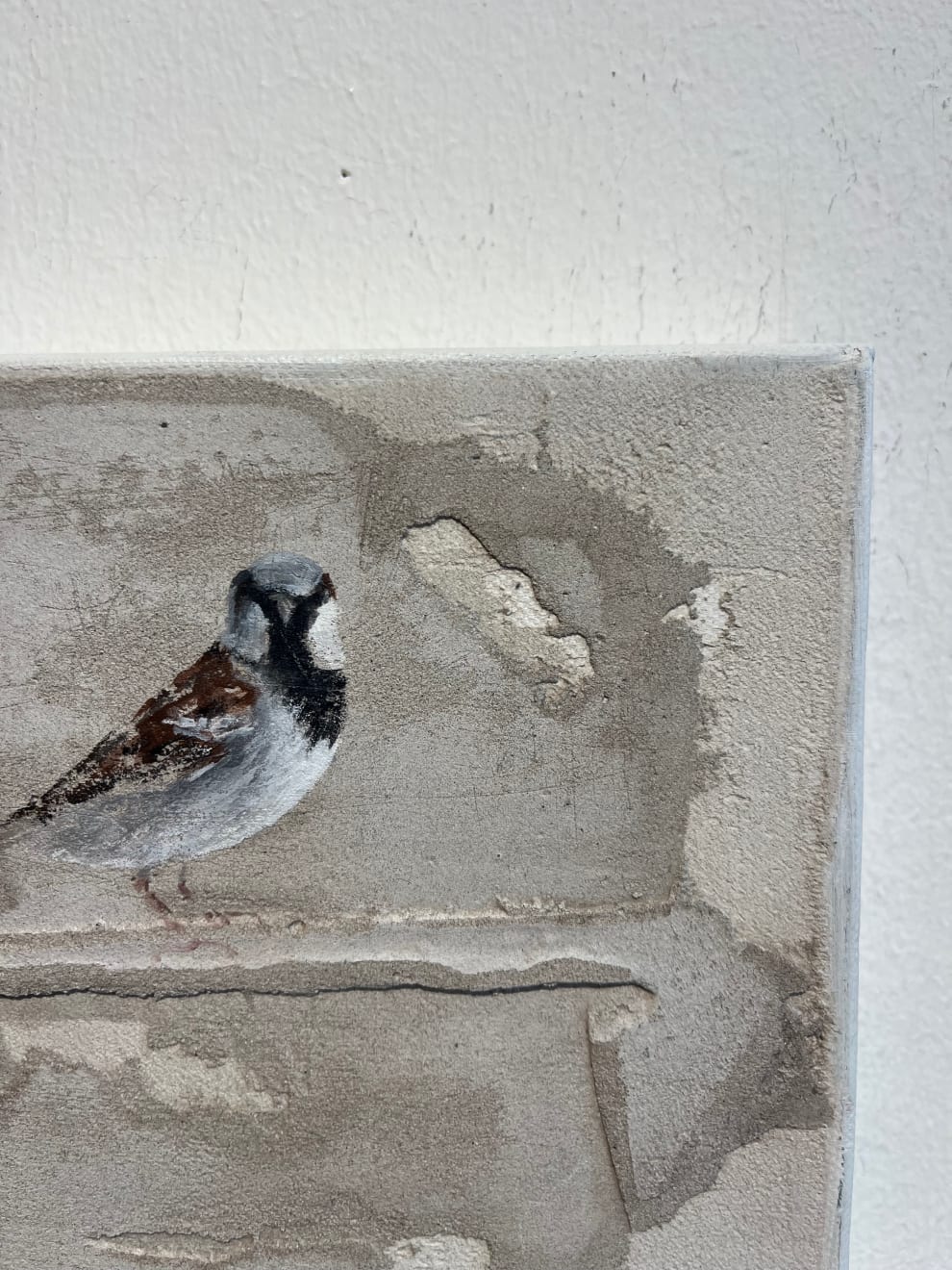 Jan Grotenbreg - Musje