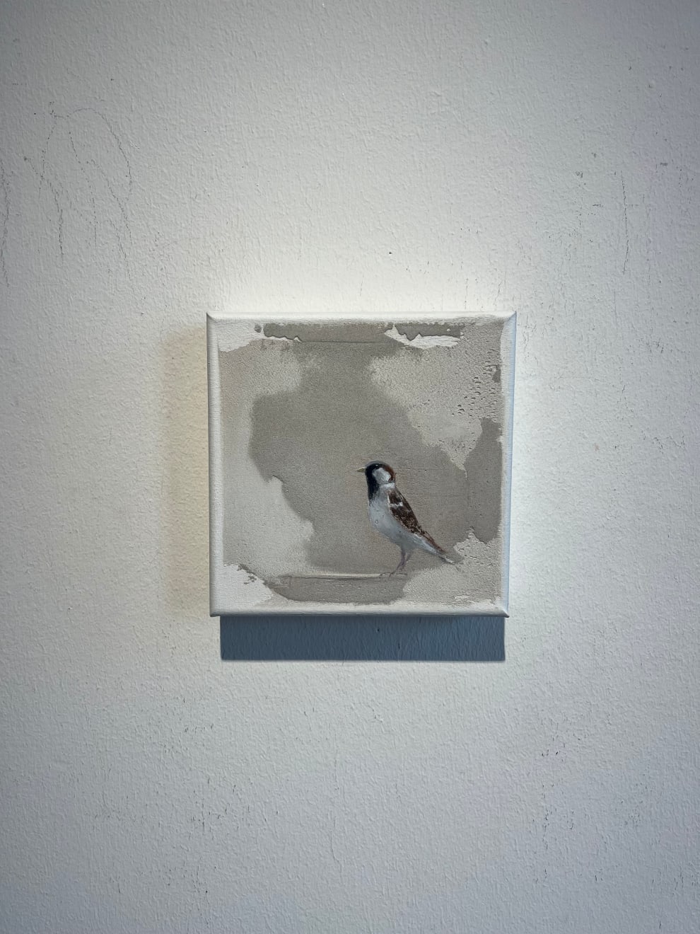 Jan Grotenbreg - Musje