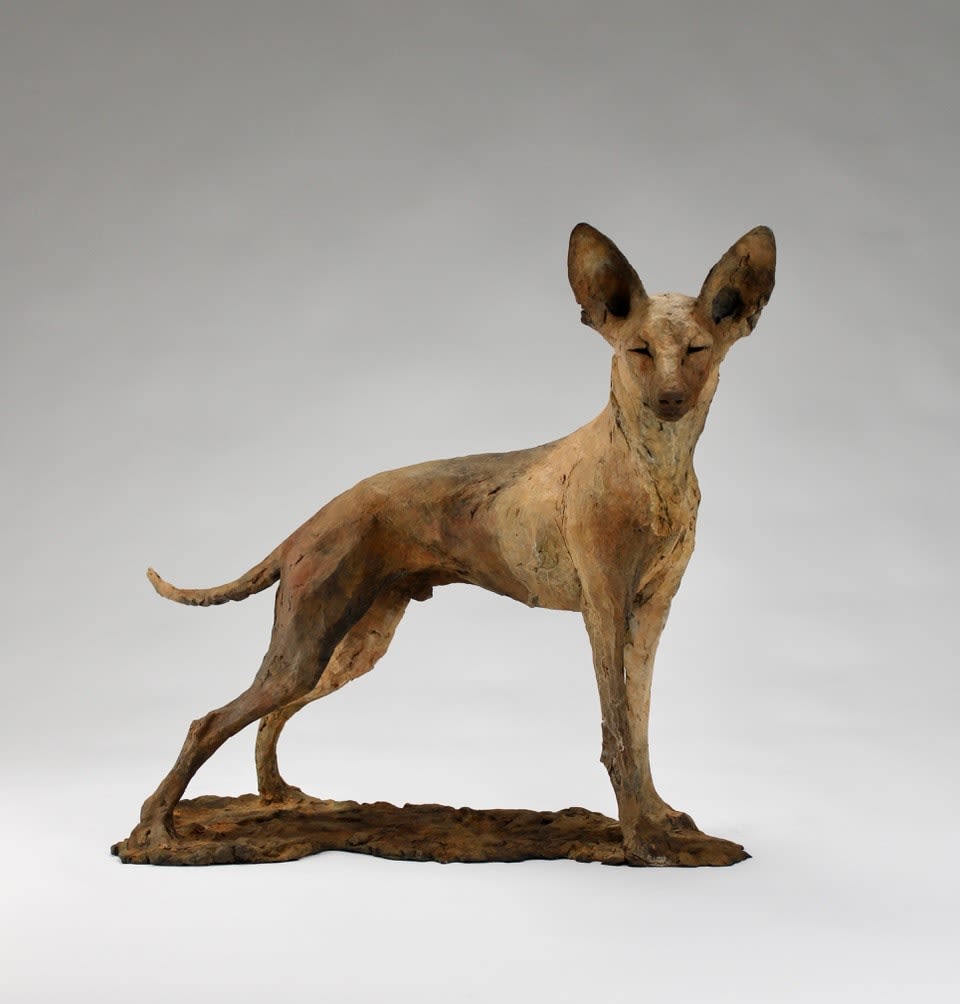 Nichola Theakston, Tesem