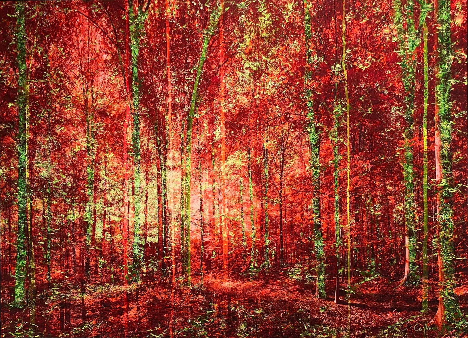 Martin Coiffier, Untitled 3