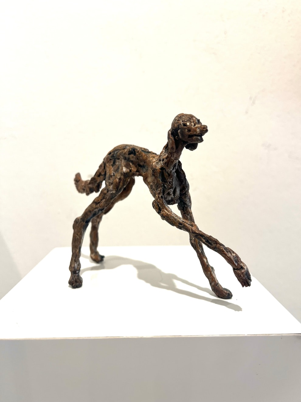 Ans Zondag - Doggy