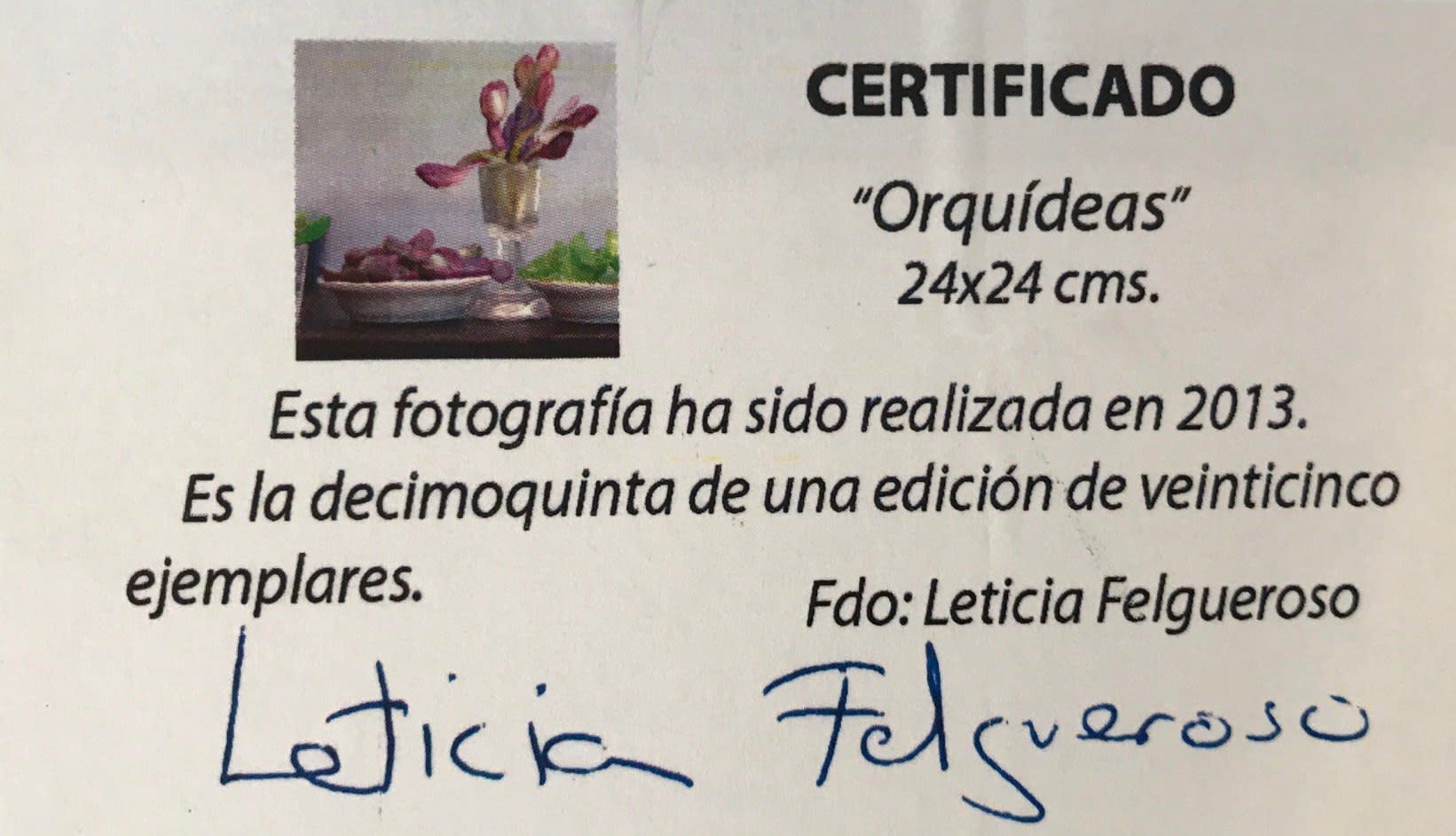 Leticia Felgueroso - Orquídeas