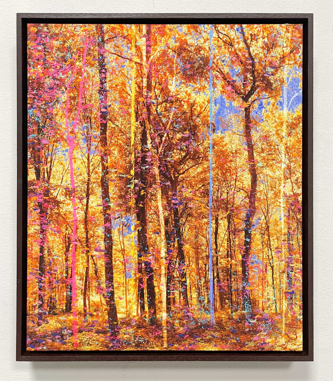 Martin Coiffier, Dreams