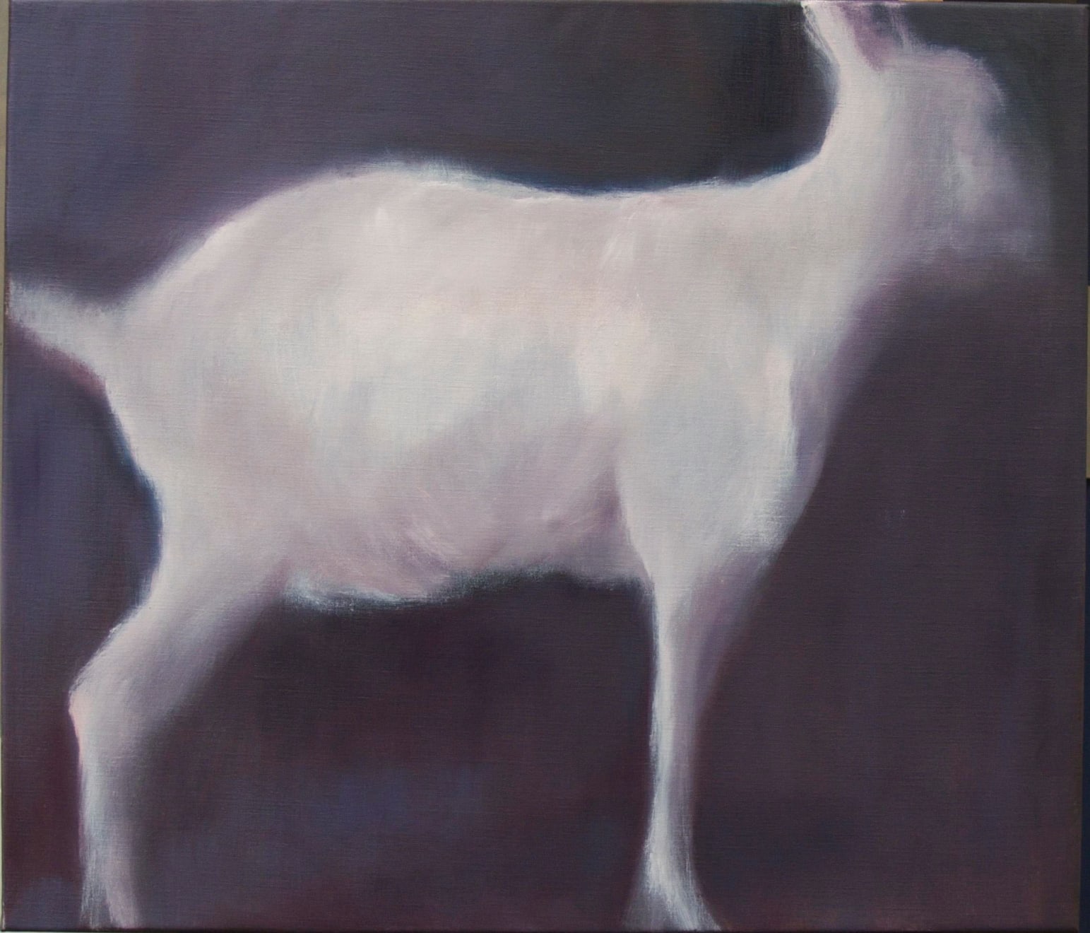 Christine van der Cingel, Geit