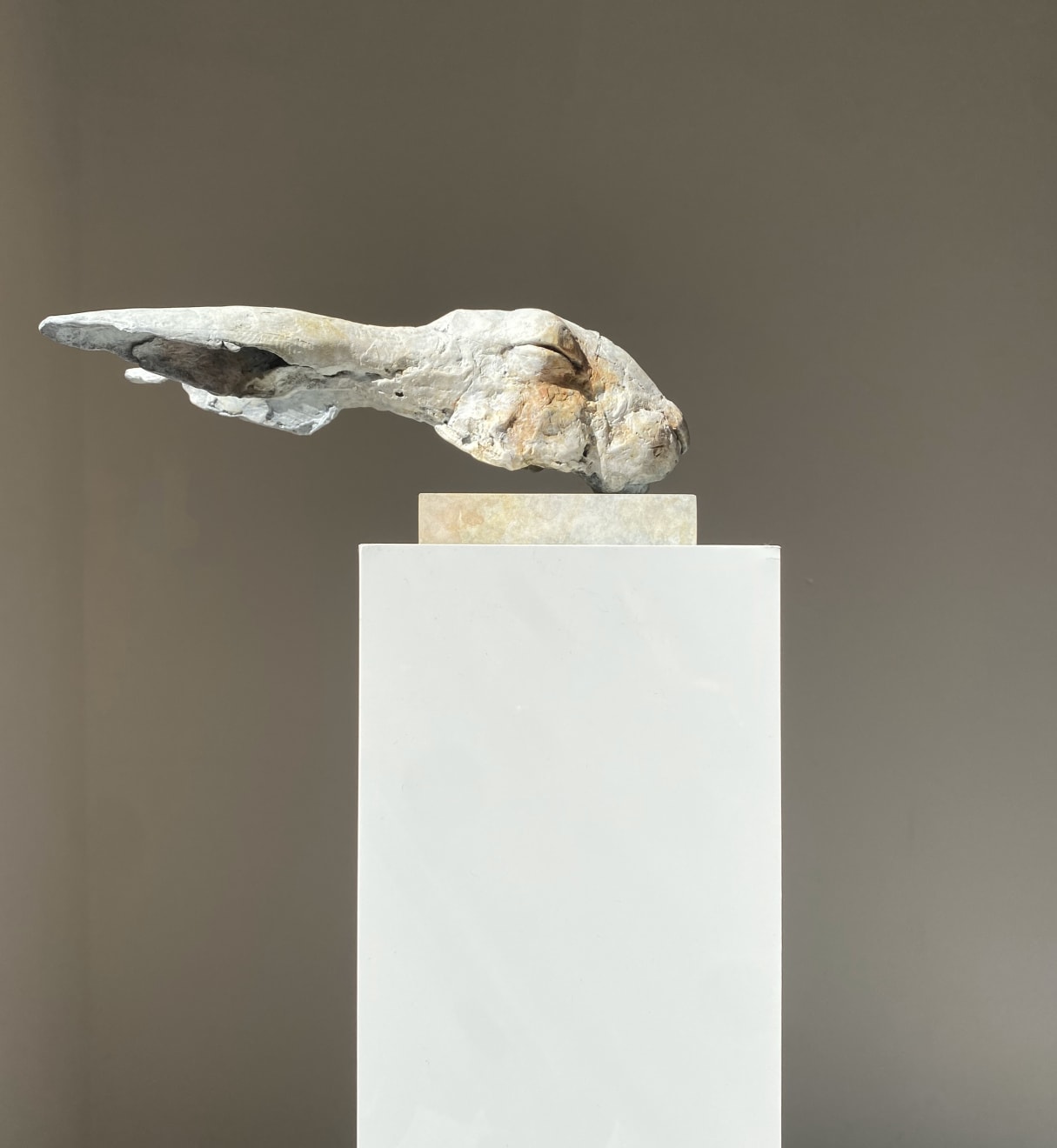 Nichola Theakston