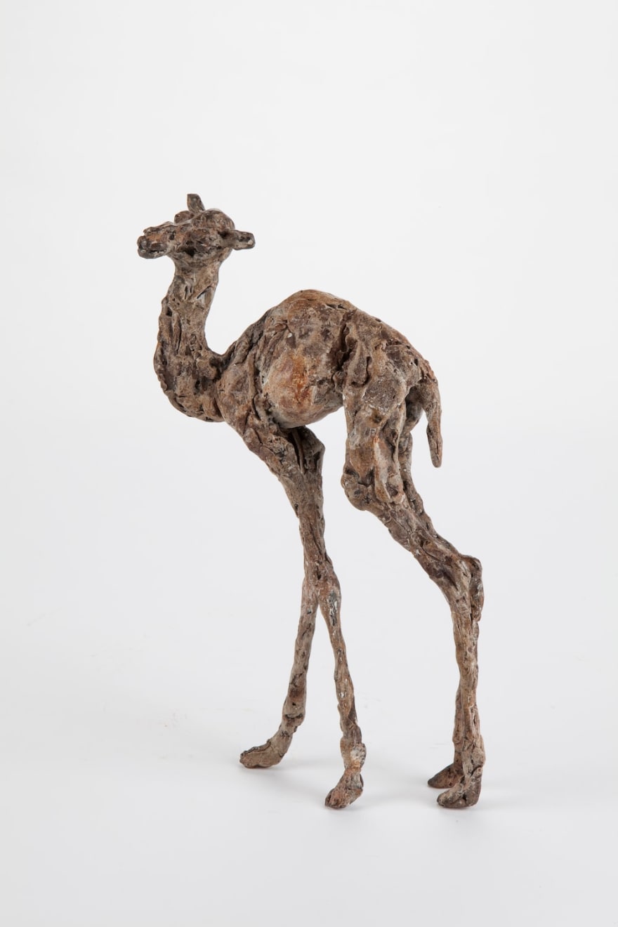 Ans Zondag - Baby Camel