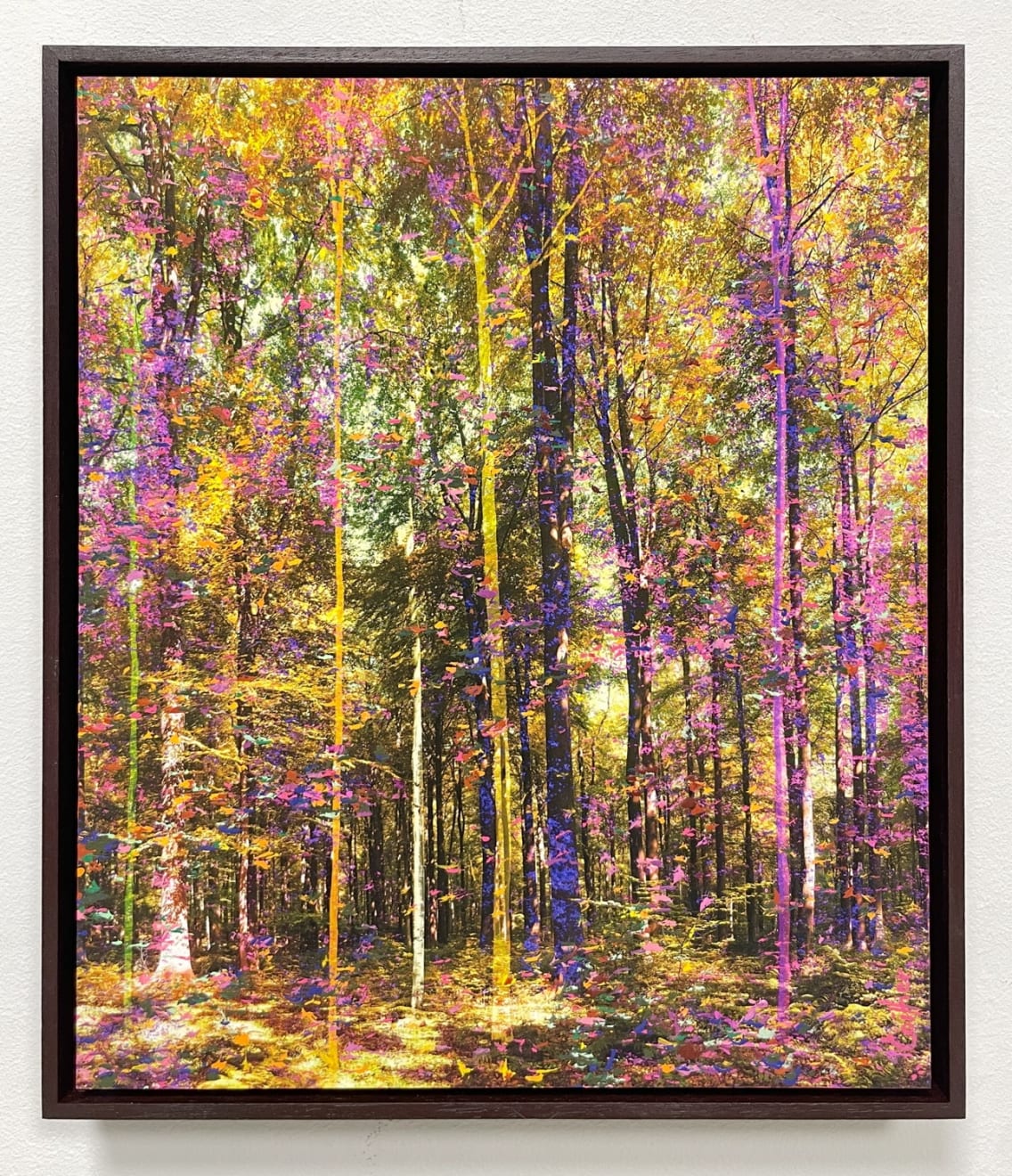 Martin Coiffier, Dreams