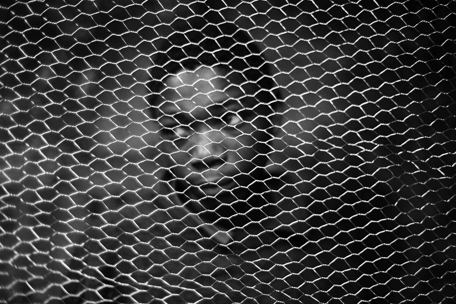 Mário Macilau, The Observer, Growing in Darkness series, 2012