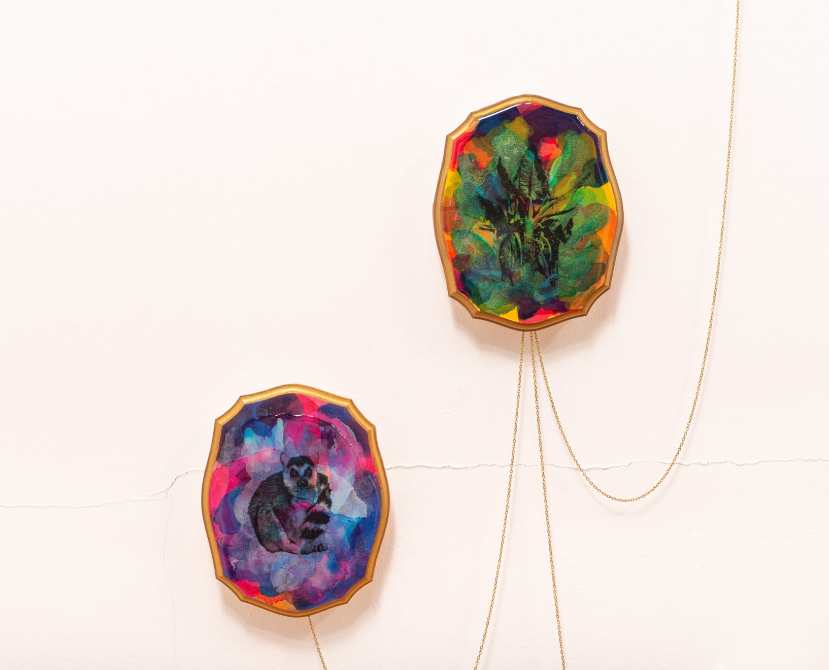 Shiraz Bayjoo, Politique des Races (4), 2021