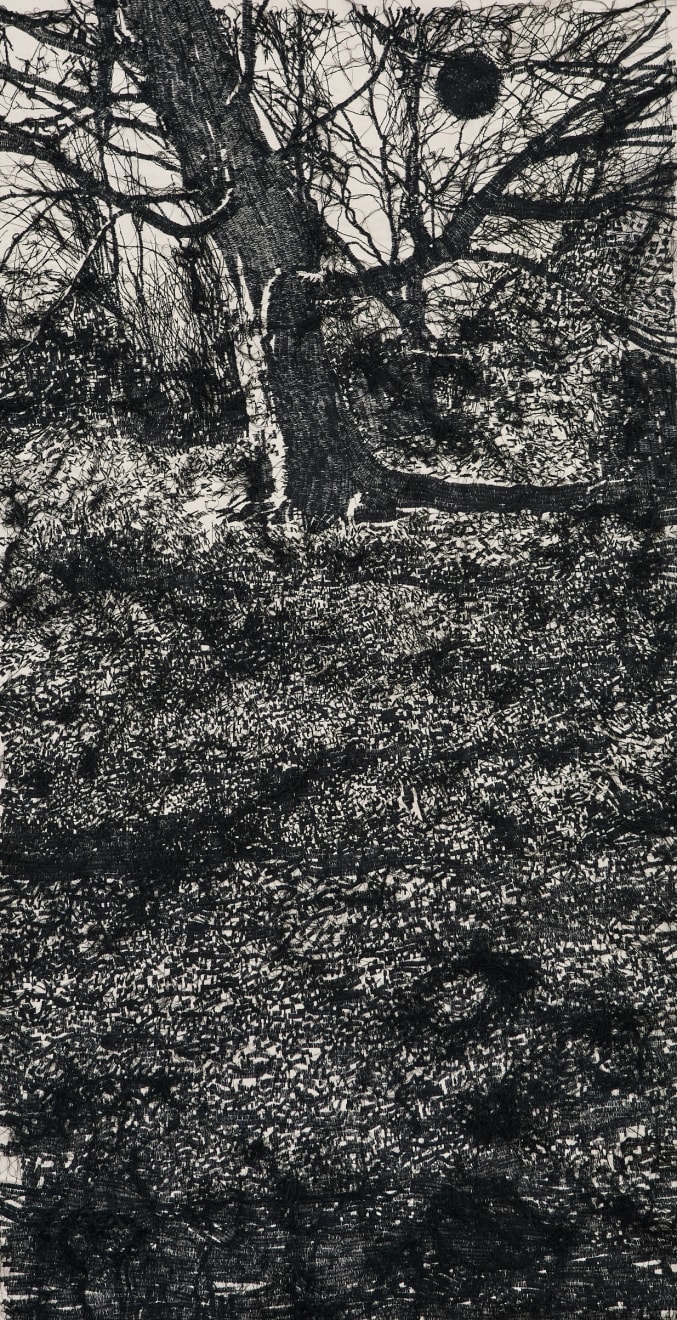 Laetitzia Campbell, Black Sun , 2025