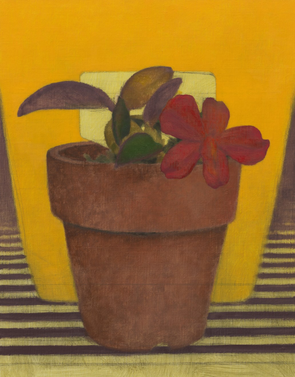 Daeyou Kim, Nurturing the nature: from Brazil, 2025