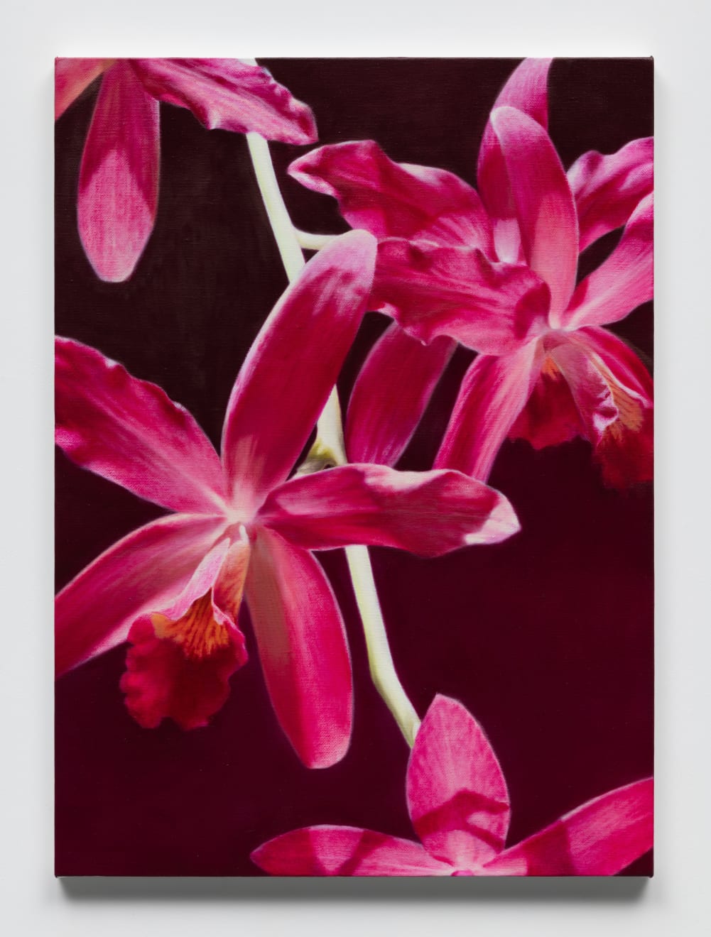 Daeyou Kim, Nurturing the nature: gardening, 2024