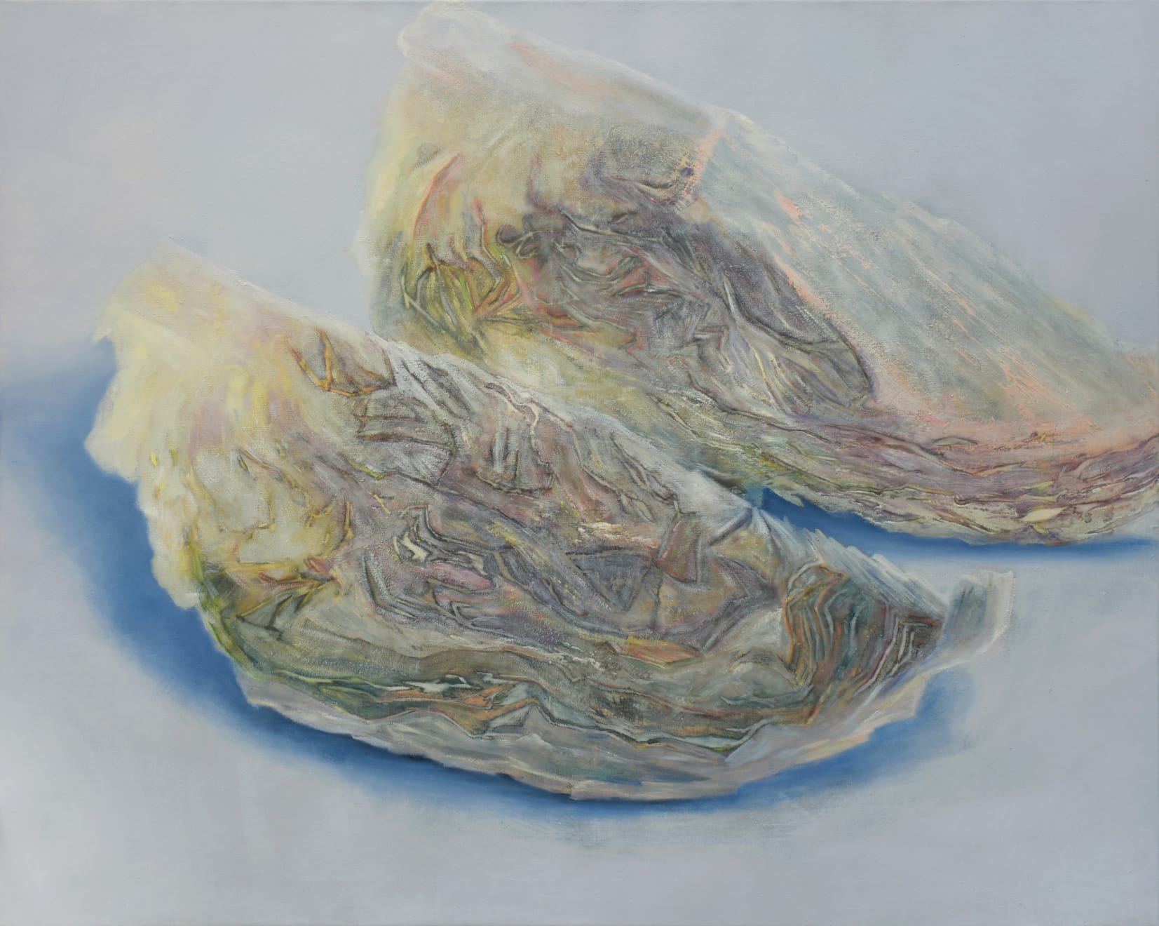 Bohyeon Hwang, Frozen cabbage, 2025