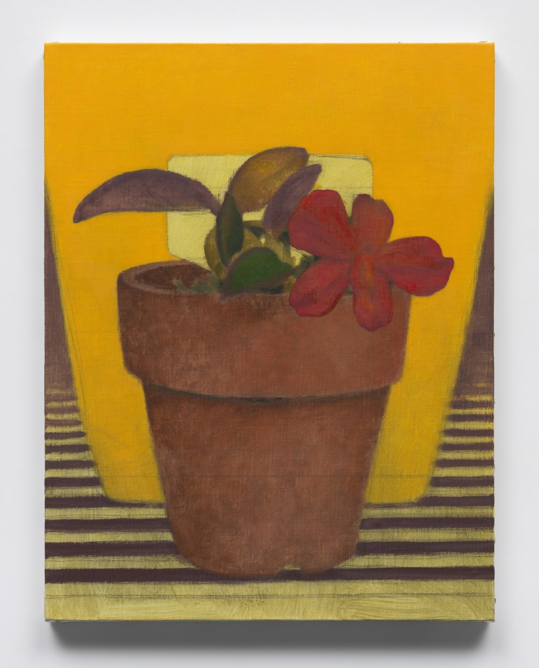 Daeyou Kim, Nurturing the nature: from Brazil, 2025