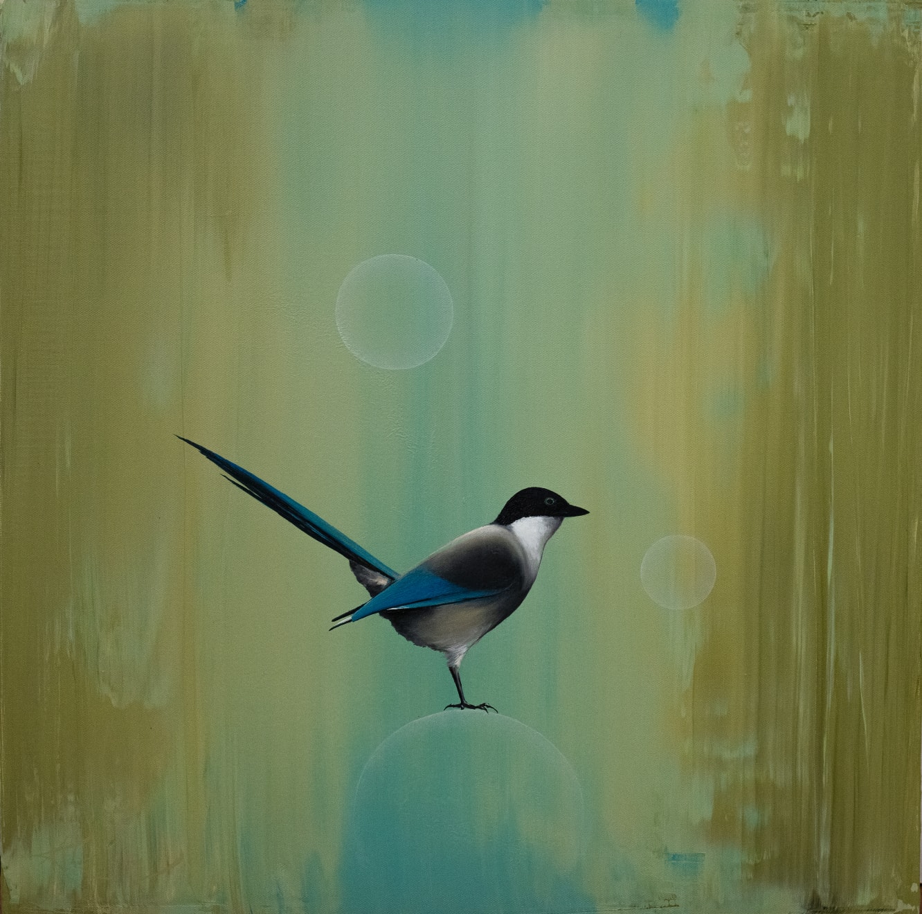 Thomas Easley, Rising Optimism