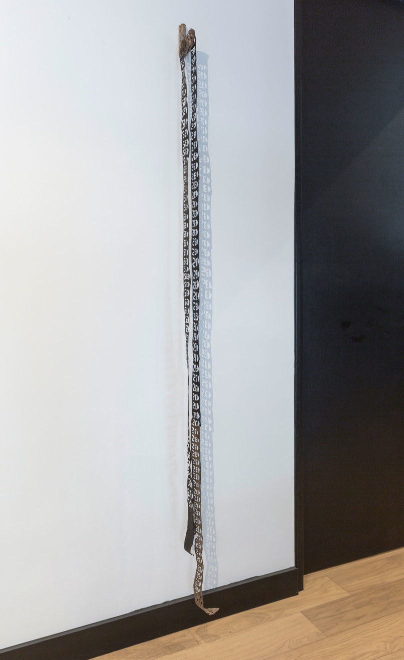 Virginia Guilisasti, Sed (Thirst), 2024