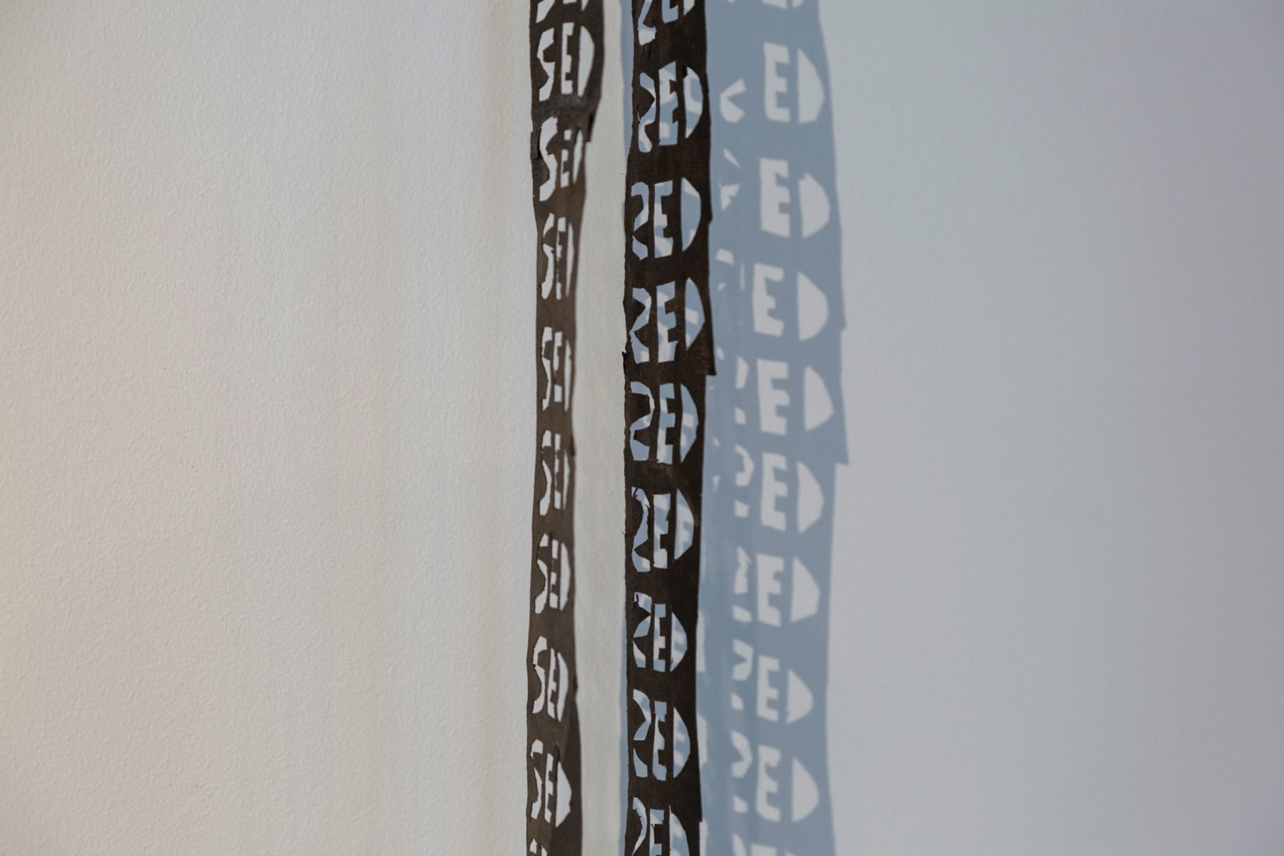 Virginia Guilisasti, Sed (Thirst), 2024