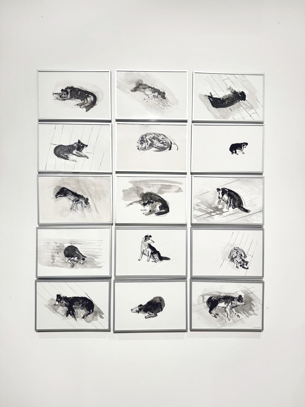 Virginia Guilisasti, Serie Instante (Instant serie), 2024