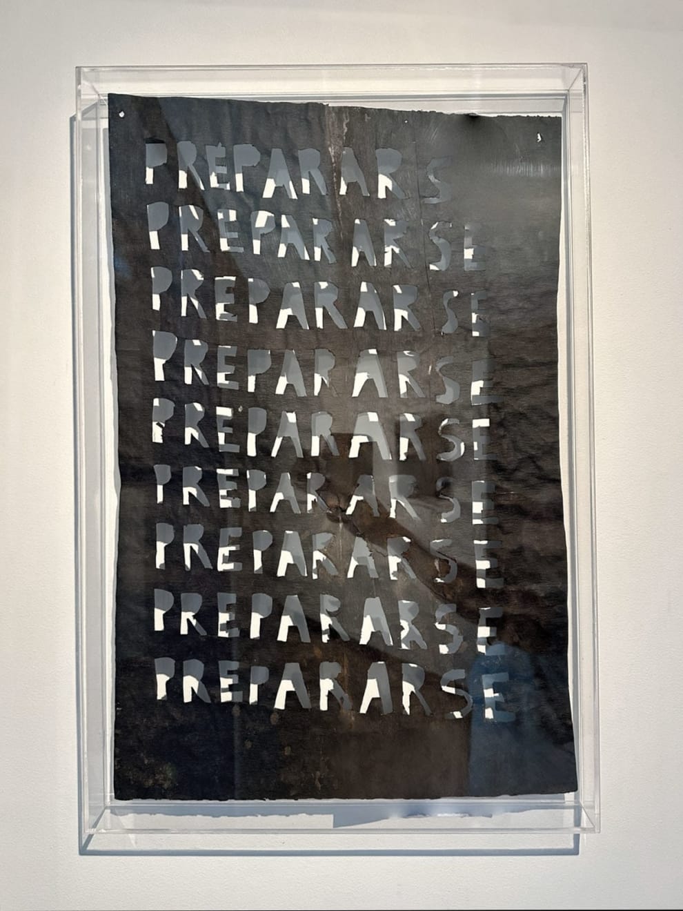 Virginia Guilisasti, Prepararse (Prepare), 2024