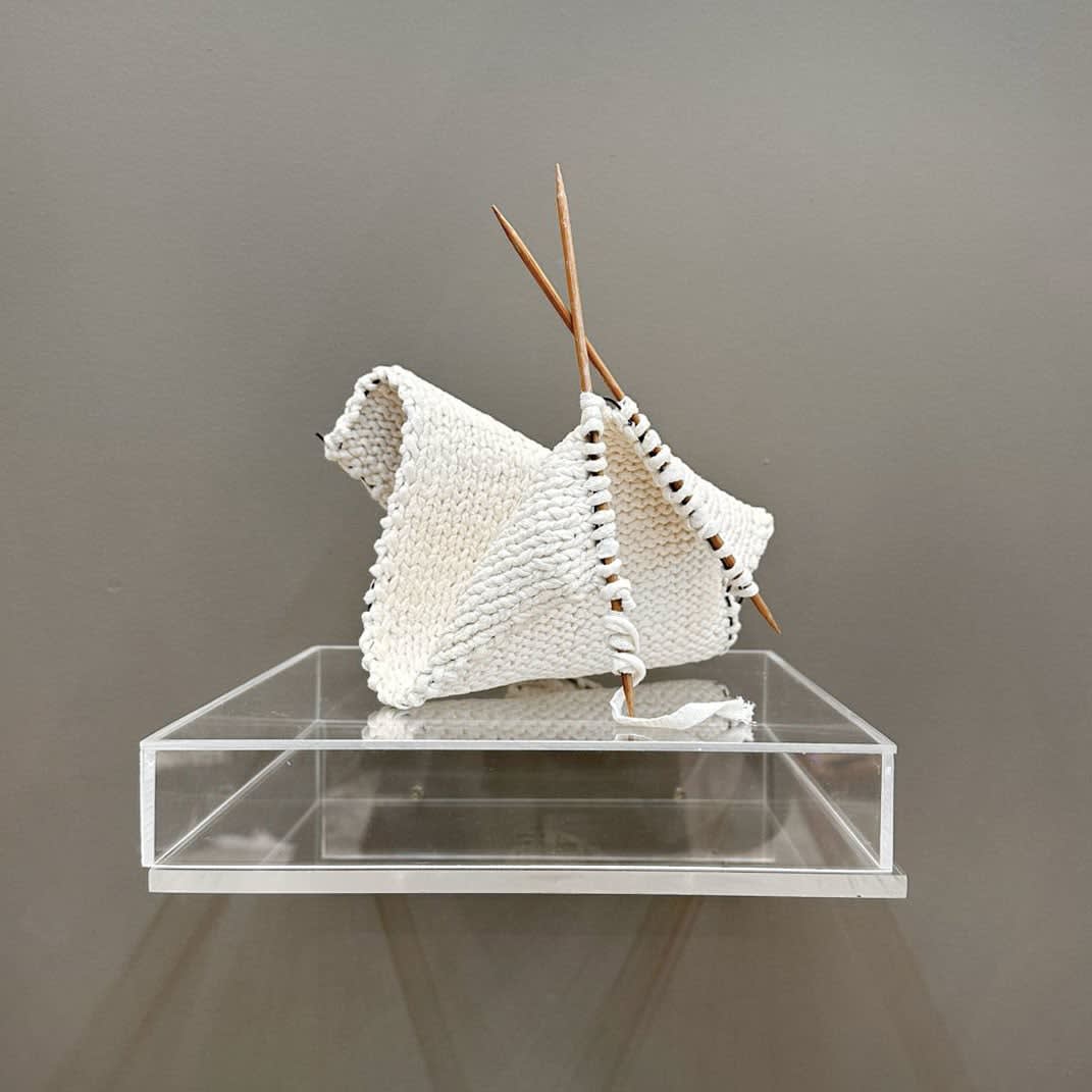 Fernanda Gutiérrez, Ansiedad Social, Sit. III (Social Anxiety, Sit. III), 2024