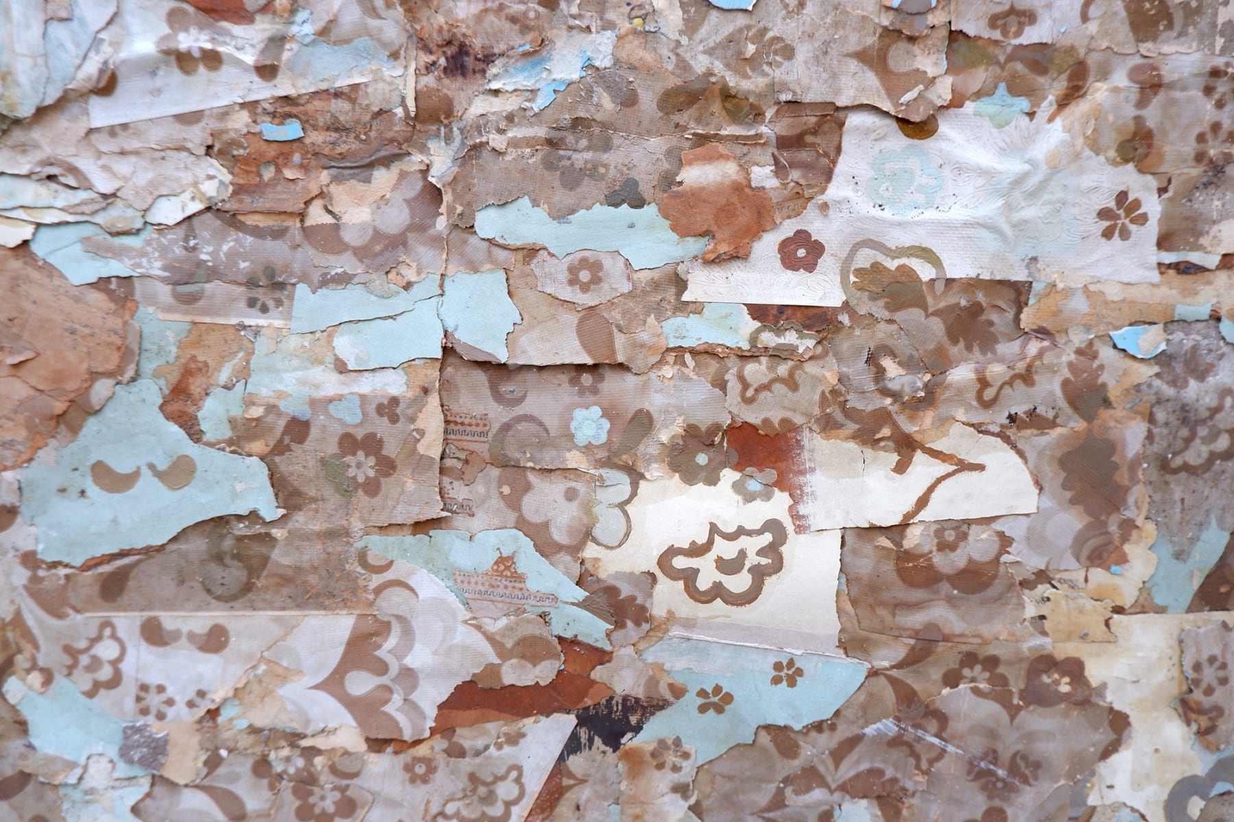Virginia Guilisasti, Ornamento (Ornament), 2015