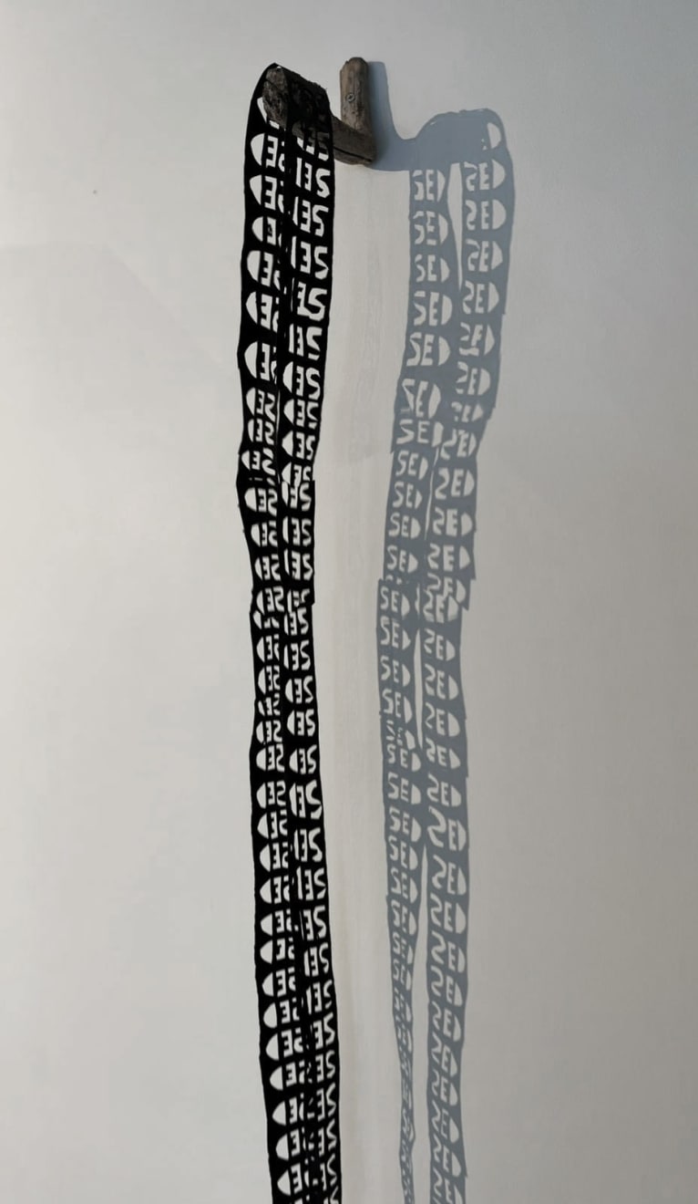 Virginia Guilisasti, Sed (Thirst), 2024
