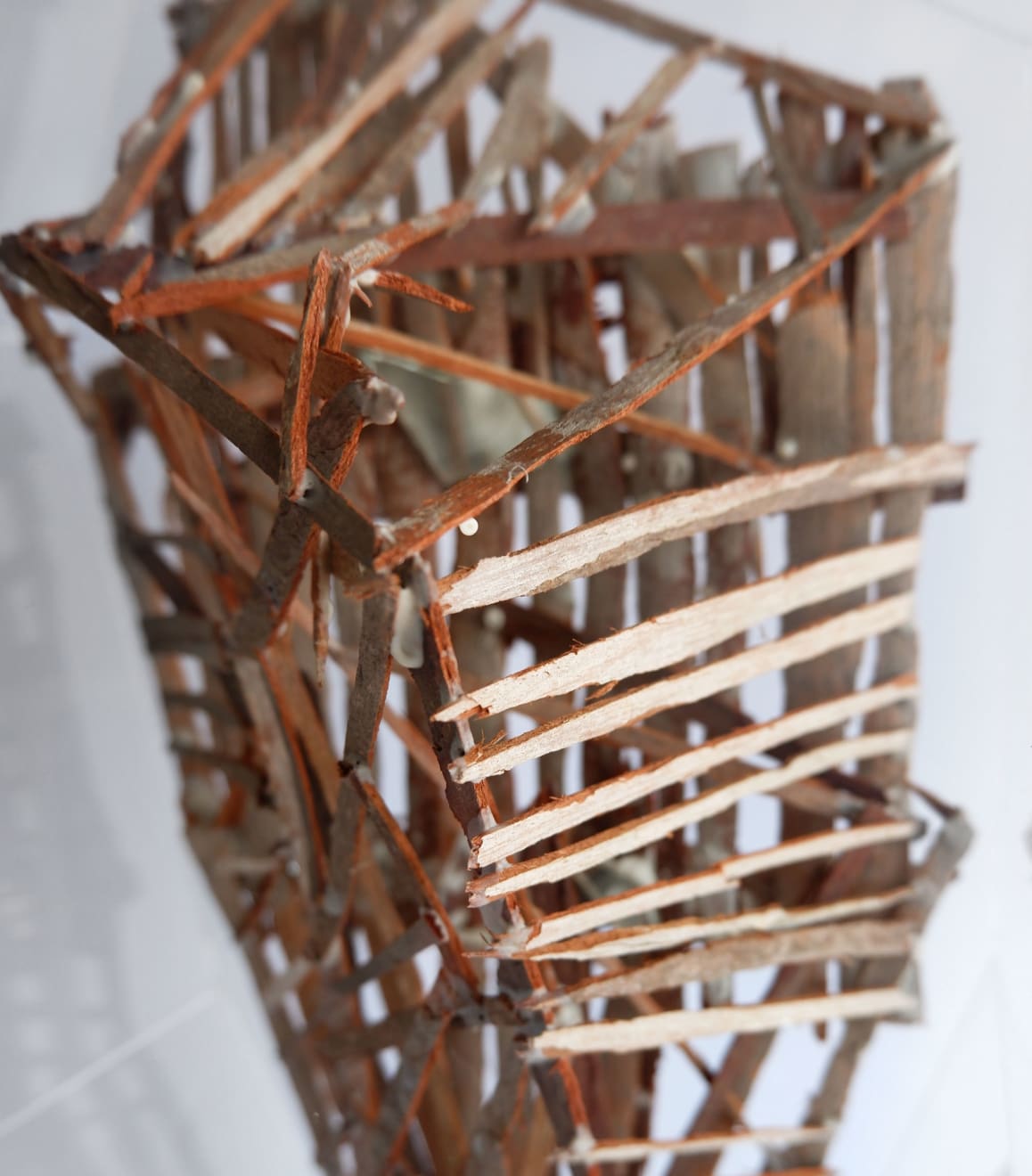 Virginia Guilisasti, Rostro (Face), 2024