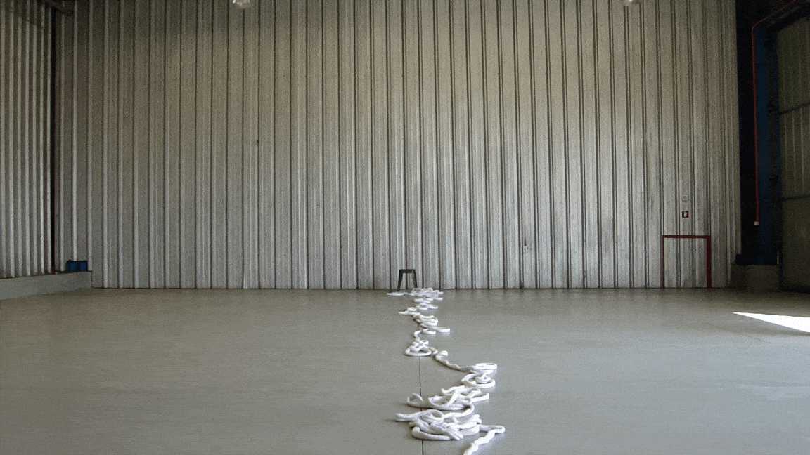Fernanda Gutiérrez, Lo que está por venir (What is to come), 2025